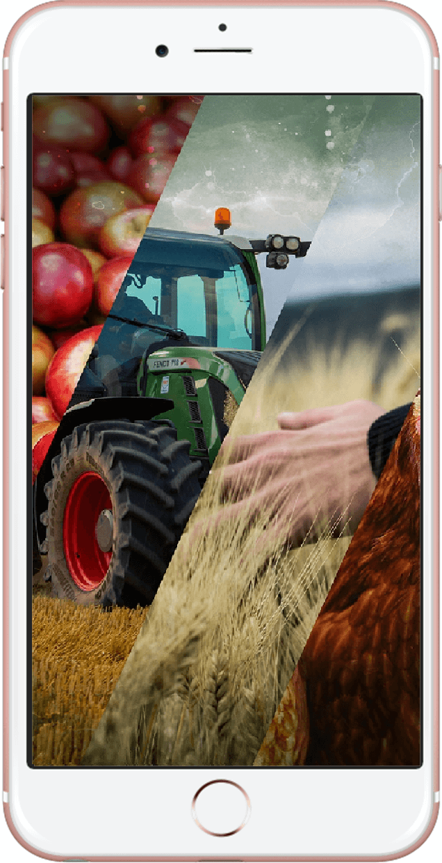 Tarım Hayvancılık Mobil Web Uygulama